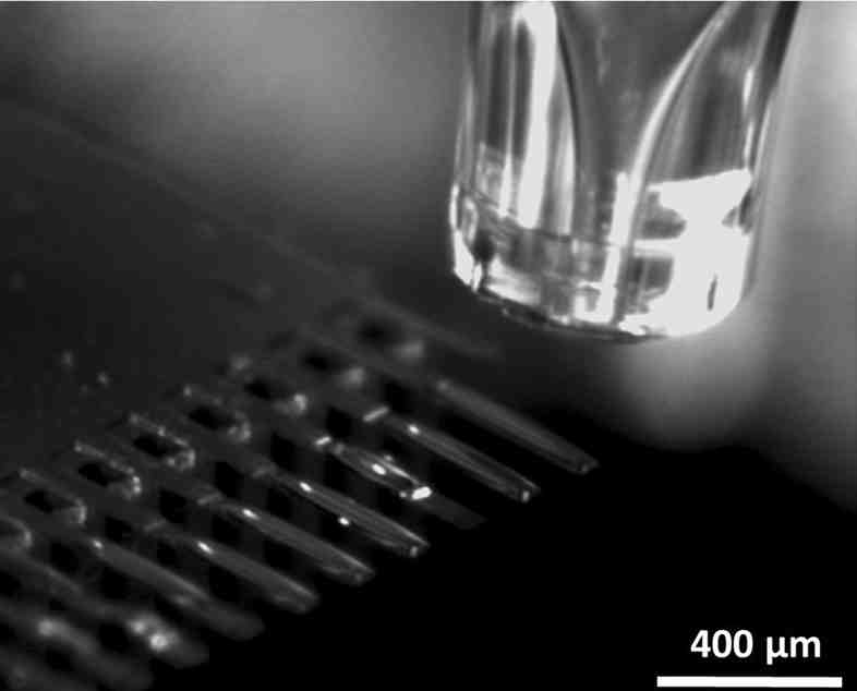 microdrop dispenser depositing droplets onto a cantilever biosensor